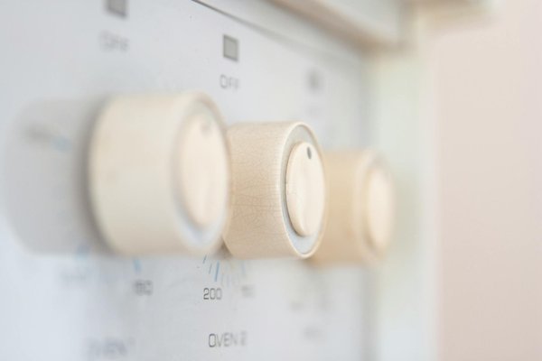 What are the top native plants for UK home gardens?